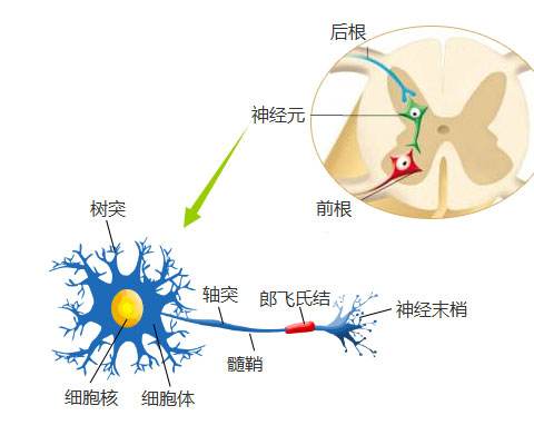 昆明癫痫治療較好醫院