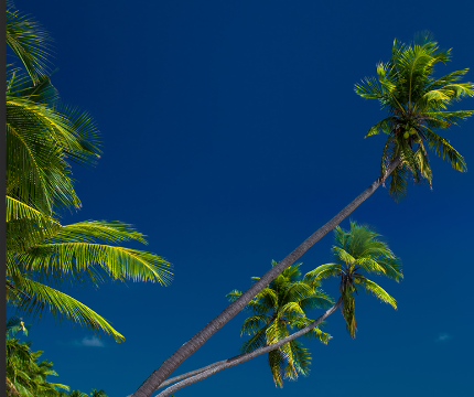 爲什麽會出現輸卵管堵塞