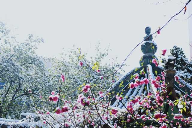 天水哪家醫院看白癜風 引起白癜風的因素有哪些