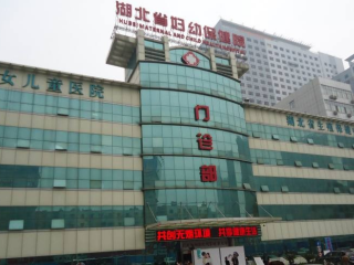 湖北省婦幼保健院