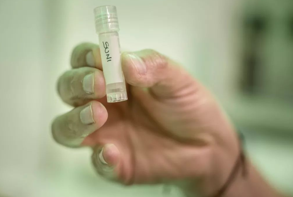 未婚去遵義做三代試管生孩子的的成功率高嗎？有50%嗎