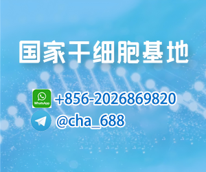 干细胞治疗,干细胞注射,干细胞抗衰老,干细胞美容,干细胞与生殖生物学国家重点实验室